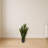 Sansevieria Silk Plant with Black Planter