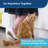 PetSafe Disposable Litter Box Prefilled with Premium Crystal Litter