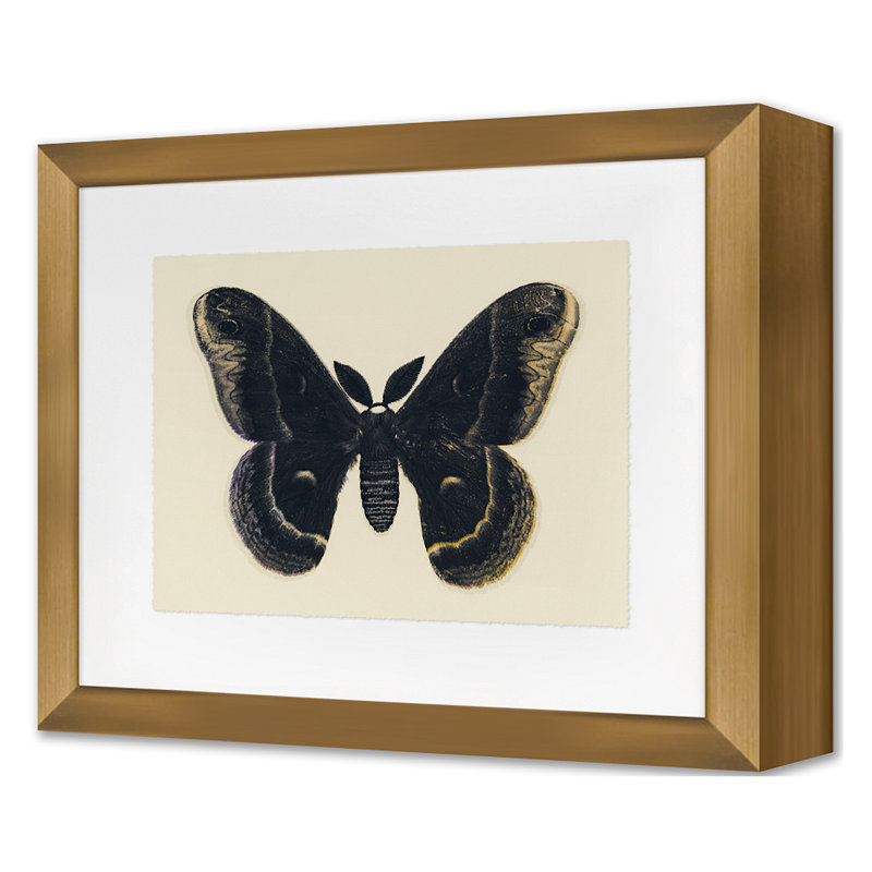 Flutter 1 Print by Todaro, Katie