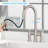 Rainlex Pull Down Kitchen Faucet-91870712