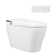 Bidet Toilet, One-Piece Elongated Smart Toilet with Foot Kick Flush, Warm Wash (Seat Included)