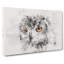 Orange Eyed Owl Watercolour - Wrapped Canvas Print-56662393