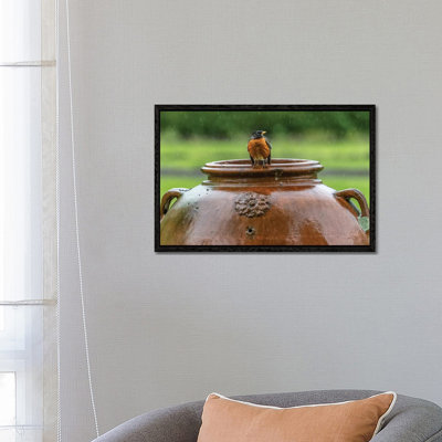 Robin on a Pot 1 Piece Wall Art on Canvas