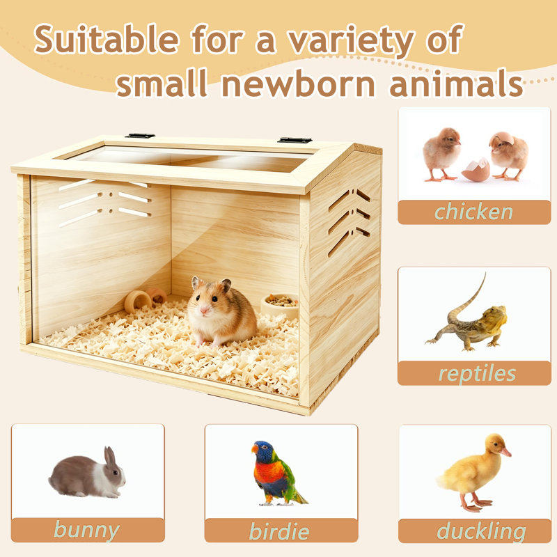 Cage à hamster en bois, cage à poulets, cage à hamster avec fenêtre en acrylique et plateau ouvrable, abri pour petit cochon d'Inde, chinchilla, gerbille (16 po x 12 po x 12 po)