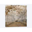 " White Gold " by Assaf Frank-95974827-95974828-119355229