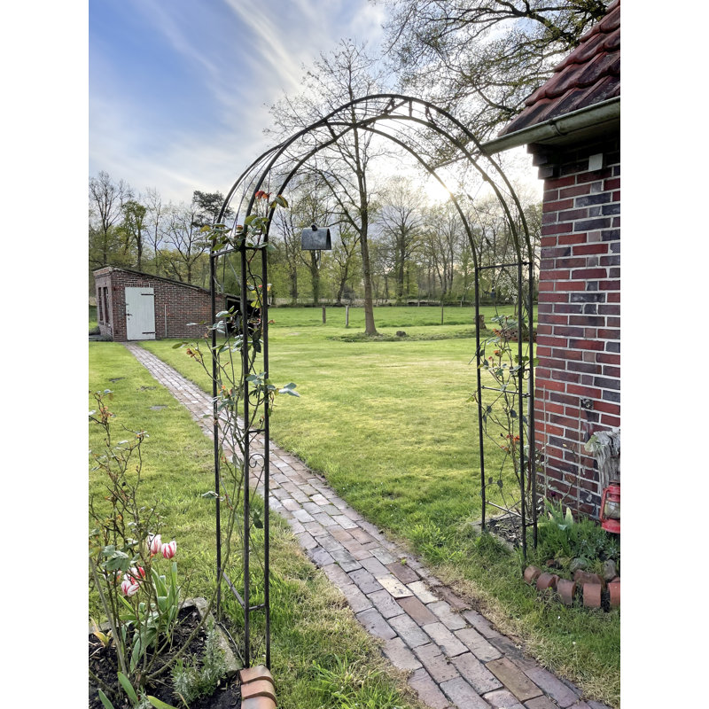 McArthur 145cm W x 38cm D Metal Rose Arch in Black