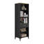 Lalaina 171 cm H x 56 cm W Standard Bookcase