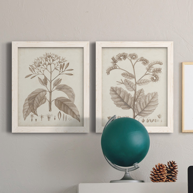 Antique sépia botanicals II, toile encadrée de qualité supérieure - prête à être accrochée, H 20 po x l 17 po x P 1 po