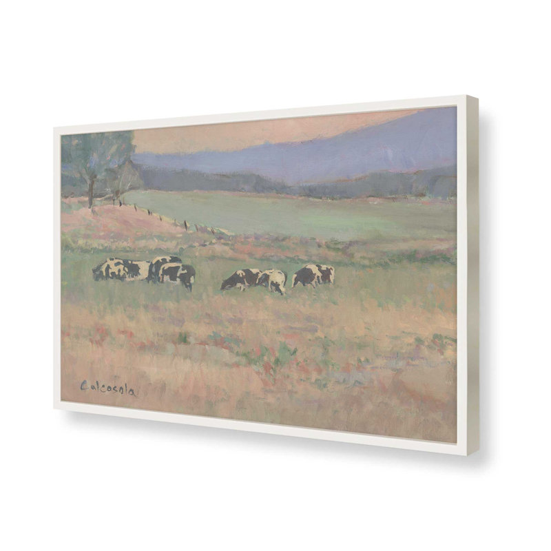 «Cows in Pasture» par Stephen Calcasola, reproduction d'art, H 36 po x l 48 po, Blanc