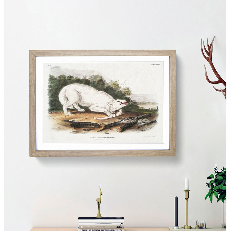 White American Wolf by J.W. Audubon - Framed Print, 27cm H x 36cm W x 2cm D, Oak Framed