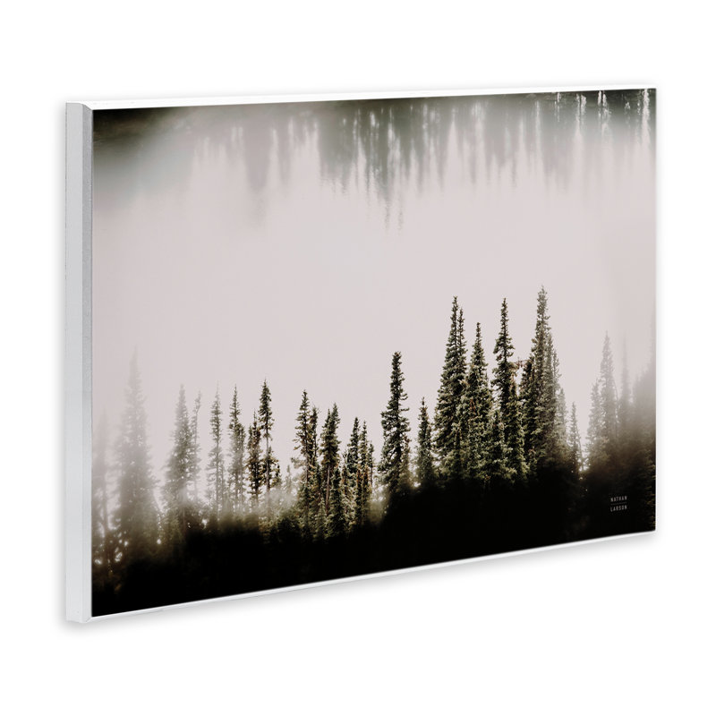 "Waterwood Tree Composition" par Nathan Larson, H 10 po x l 15 po