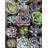 The Next Gardener Live Succulent Plant Low Maintenance Plant in Rattan Resin Planter