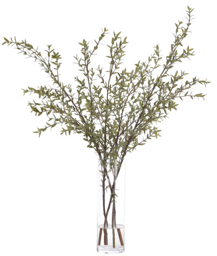 Eucalyptus Branch, Green, Glass Vase, 31wx32dx41h
