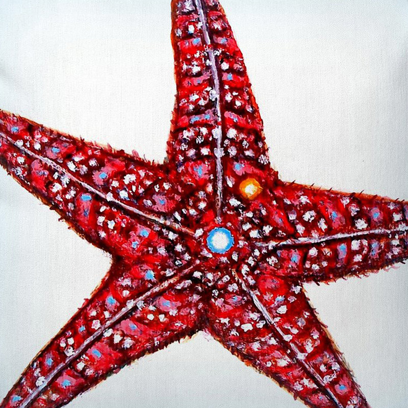 Housse et insert de coussin carré Dick's Starfish