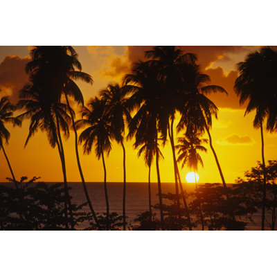 Tropical Sunset - Wrapped Canvas Print