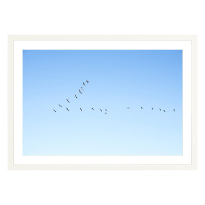 Flying V by Amanda Anderson