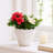 Embossed Floral Ceramic Planter for Outdoor & Indoor Planter Styling - Elegant Flower Pot for Home Decor in Living Room or Patio - 6", Ivory & Tan-1231874653