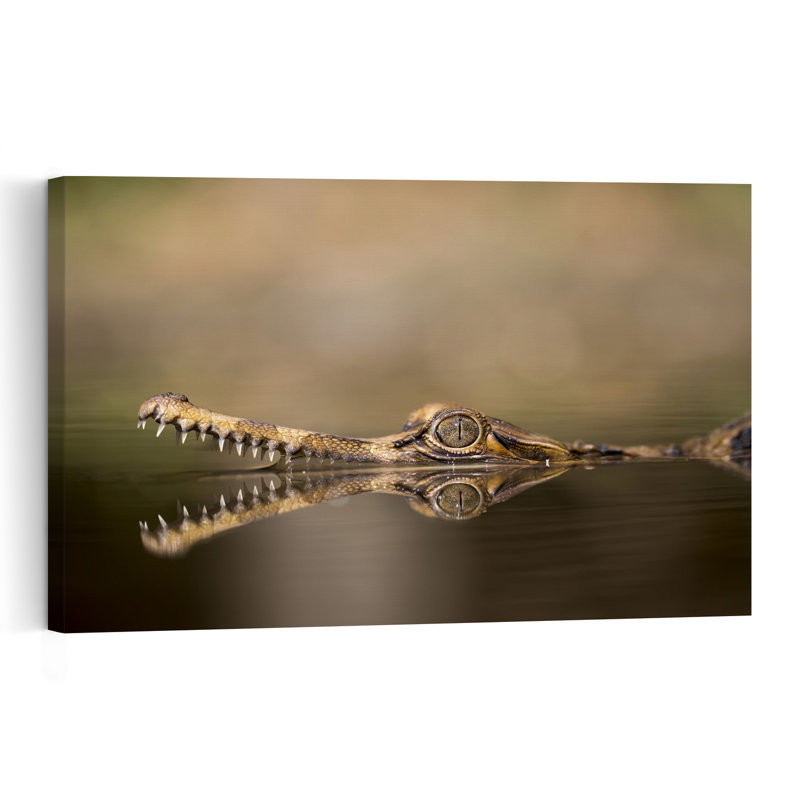 Sinyulong On The Water Contemporary Crocodile Animal Wall Art Print 1 Piece Wrapped Canvas Wall Art, 30.48cm H x 45.72cm W