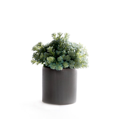 Faux Succulent Plant in Ceramic Planter