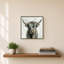 Vache Highland-130878913-130878910
