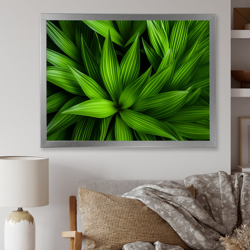 Greenerys Gaze sur impression sur toile, Cadre photo argenté, H 16 po x l 32 po x P 1 po