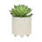 S/2 6/8" TEXTURED PLANTERS-610032953