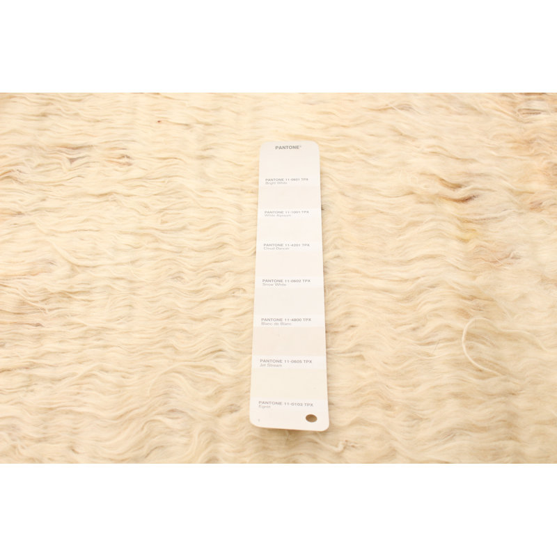 Tapis décoratif en laine noué à la main de conception unique 6 pi 3 po x 8 pi 10 po Celler Ivoire