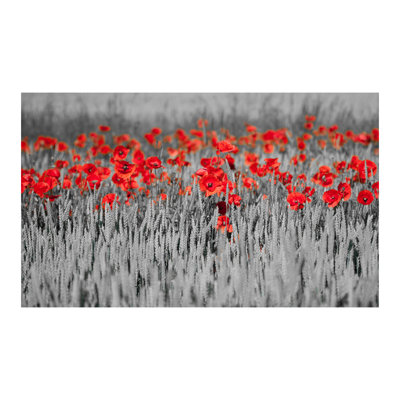 Fleece Wallpaper Roll