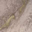 Taupe Marbling Print