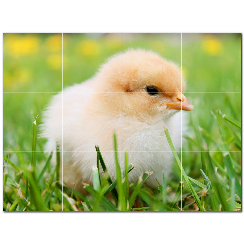 Photo de printemps 8 x 8