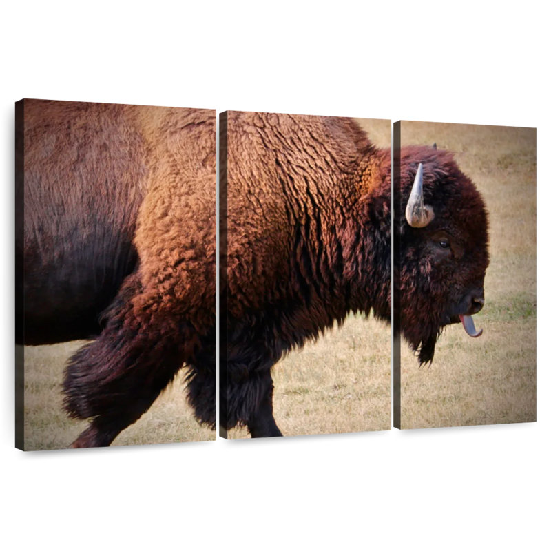 Brampt Tongue Wagging Bison, 42" H x 65" W