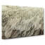 Feathers In Abstract - Wrapped Canvas-55312307