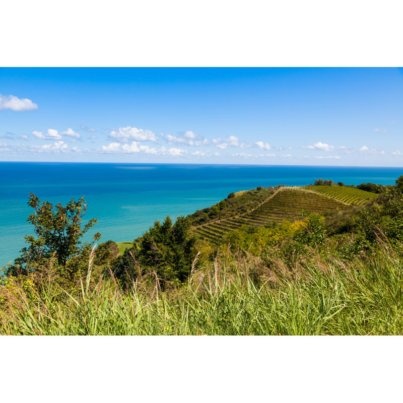 Rolling Hills And Vineyards by Anzeletti - Wrapped Canvas Print, 51cm H x 76cm W x 3.8cm D