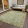 Machine Washable Indoor/Outdoor Xhevrie Sage Rug