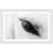 " Trusting Eye " by Marmont Hill-21728442-21728446