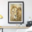 The Face of a Lion - Picture Frame Painting Print-56738866-56738871