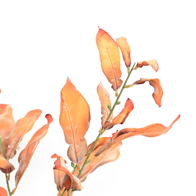 Branches de feuilles de pamplemousse 38 po