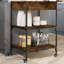 Dwyce Metal Bar Cart-1602414943