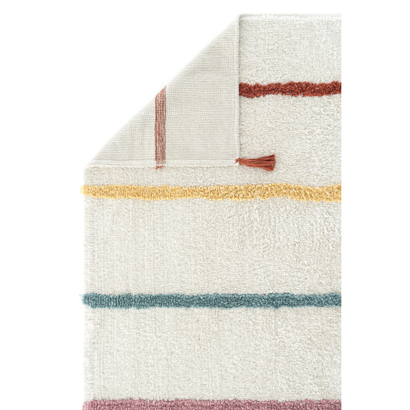 Samare Cotton Machine Made Indoor / Outdoor Area Rug, Rectangle 3'3" x 5'3"