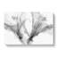 Floral Shadows In Abstract - Wrapped Canvas Painting-55314970