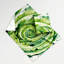 Tapisserie murale légumes endives Cichorium endivia-133638541