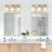 Dimmable Transitional Vanity Light