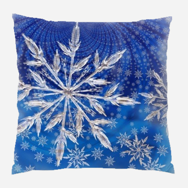  Coussin Christmas