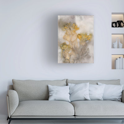 Art sur toile safran Pernille Folcarelli Honeysuckle