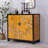 15 Pair Shoe Storage Cabinet