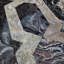 Papier peint Brenna Gray Coper