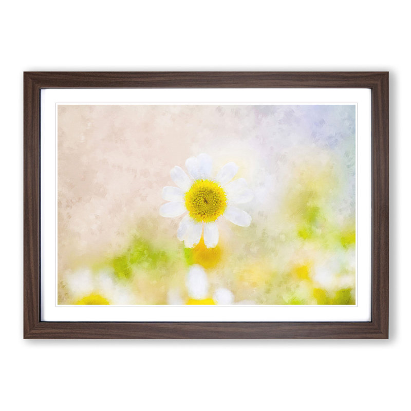 Daisy Flower View - Picture Frame Painting Print, Walnut Framed, 62cm H x 87cm W x 2cm D
