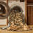 Machine Washable Botanical Brown Area Rug-361395676
