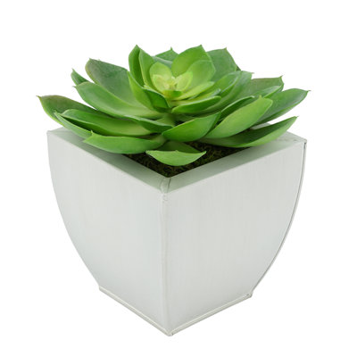 Succulent artificiel 2" en pot