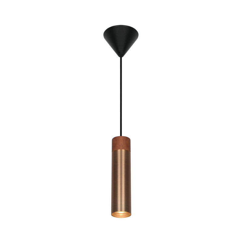1 - Light Satin Pendant, Burnished Brass